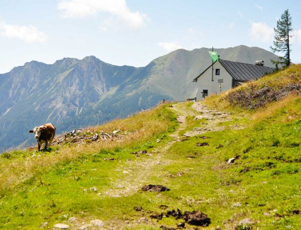 Blick auf Berghütte