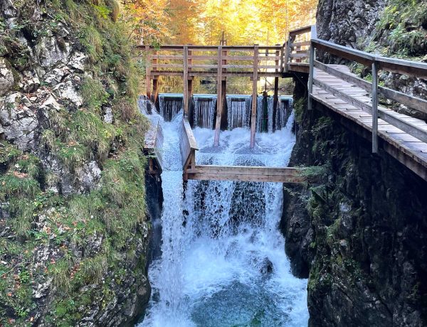 Schlucht im Mendlingtal