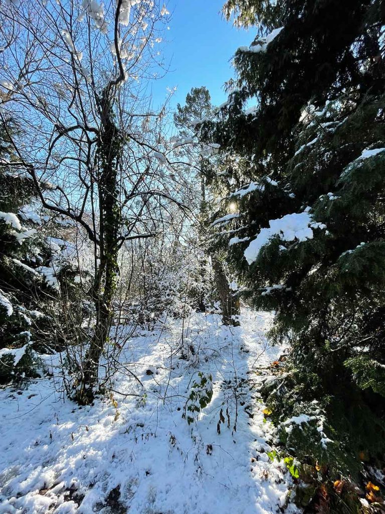 Schnee im Sternwartepark