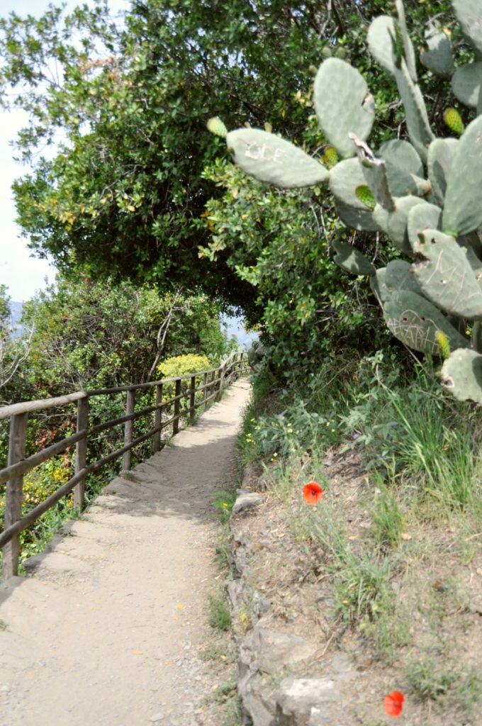 Wanderweg entlang des Meeres