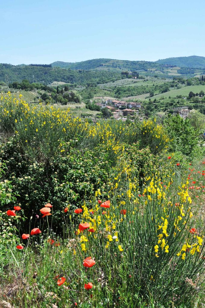 Toskanische Landschaft