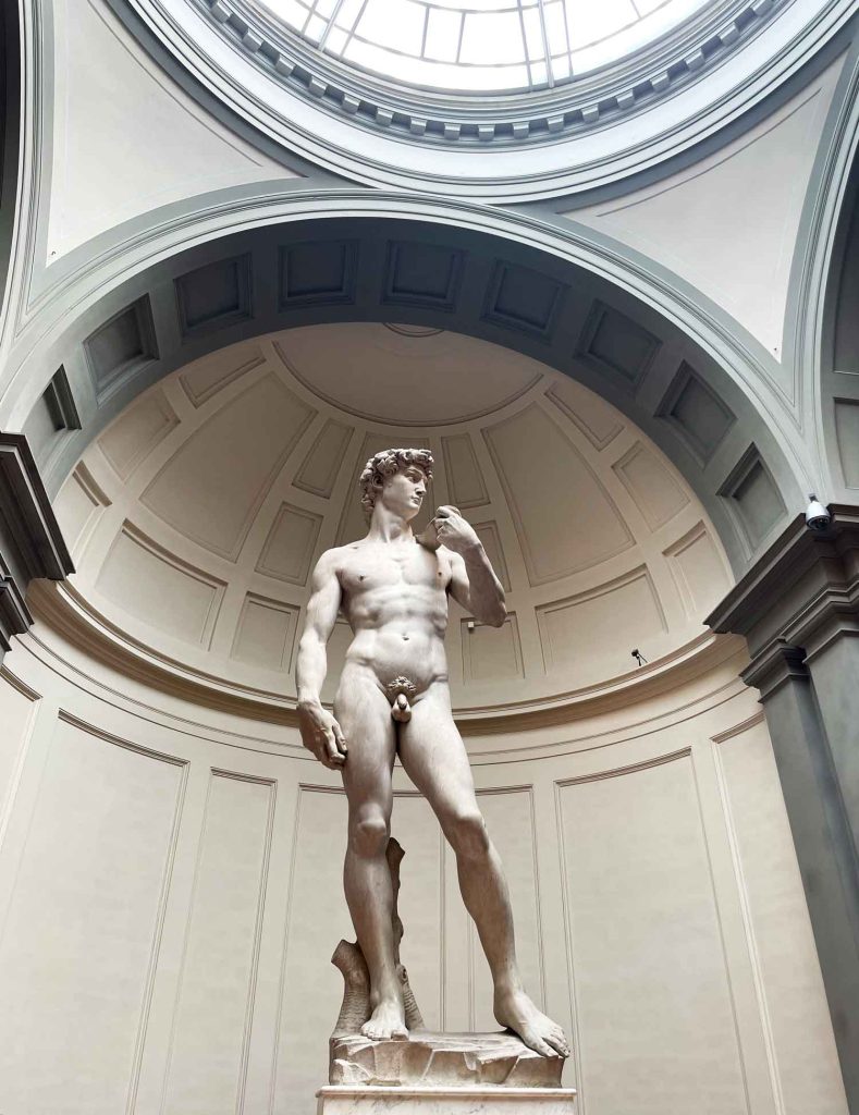 David von Michelangelo in der Accademia Florenz