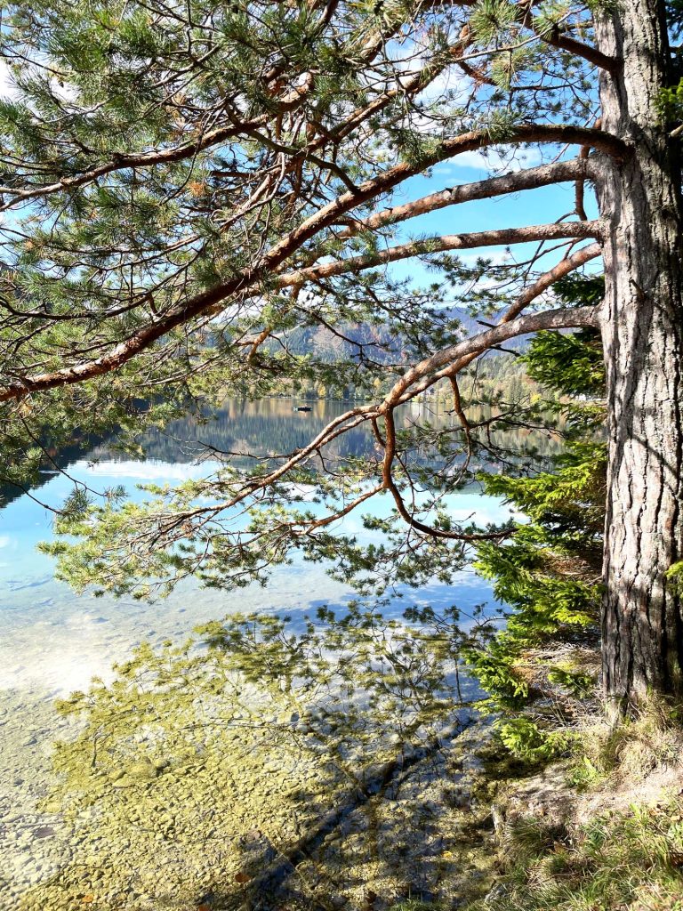 Erlaufsee