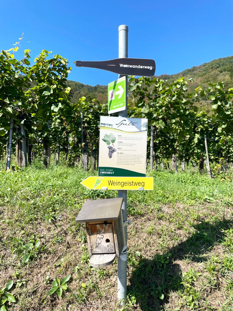 Weinflaschen-Wegweiser am Weinwanderweg Spitz